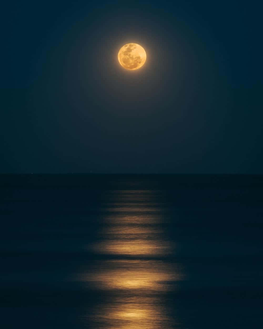 Nocheencantadora Bajo La Luna En La Playa