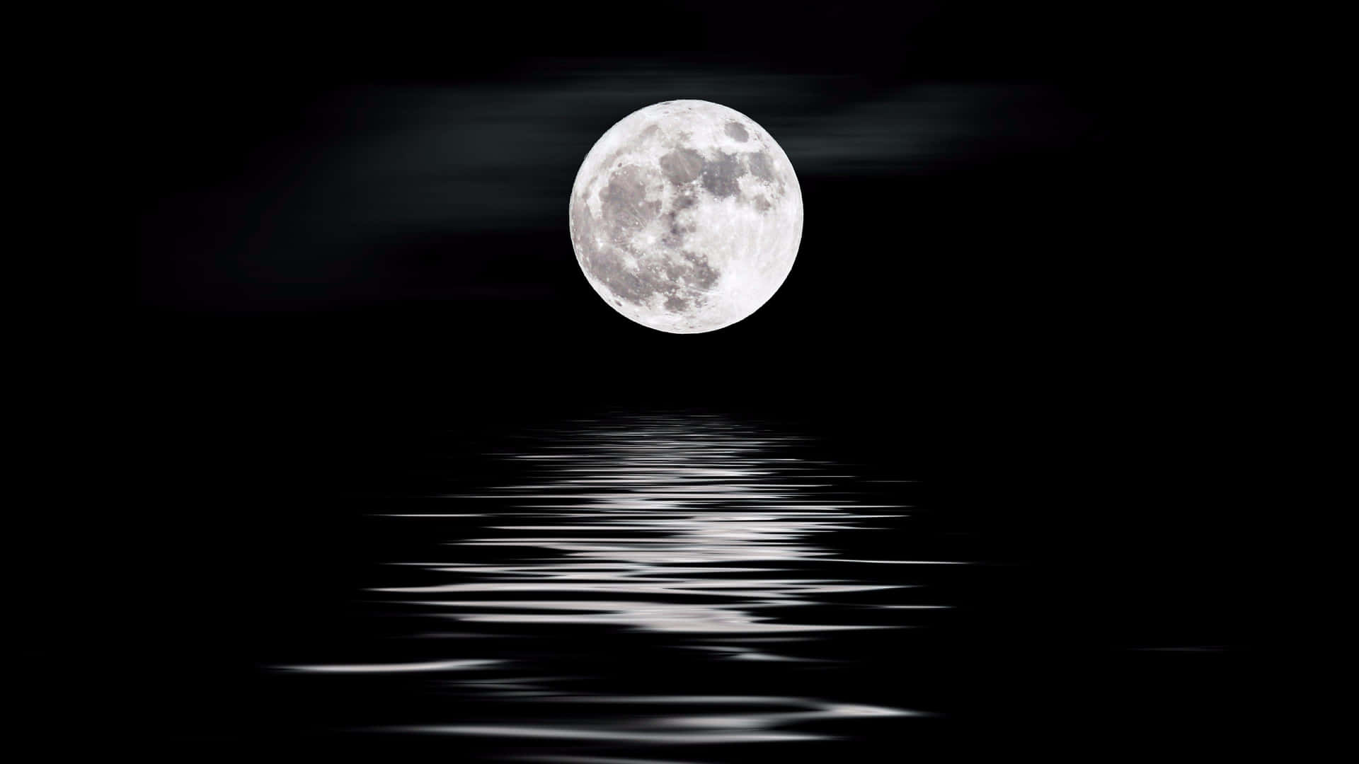 Nocheiluminada Por La Luna Junto Al Lago.