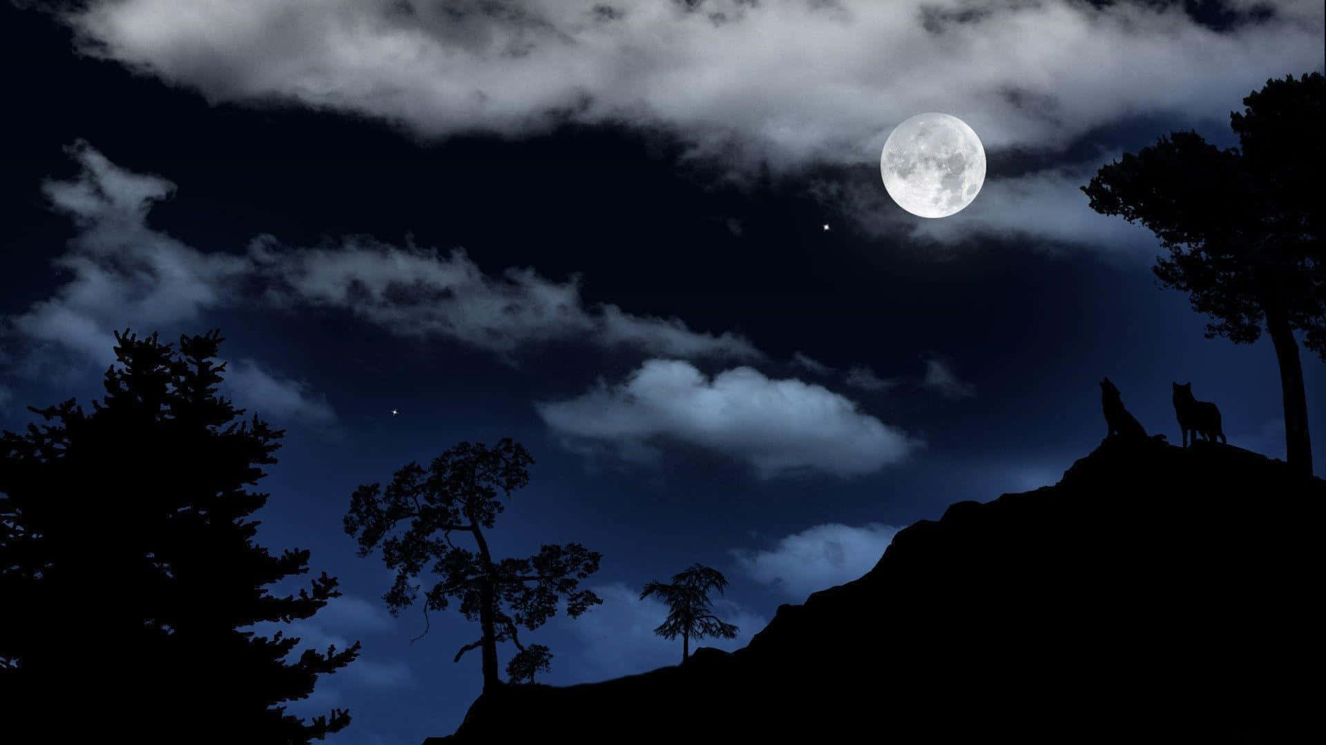 Nocheserena Iluminada Por La Luna Sobre El Tranquilo Lago