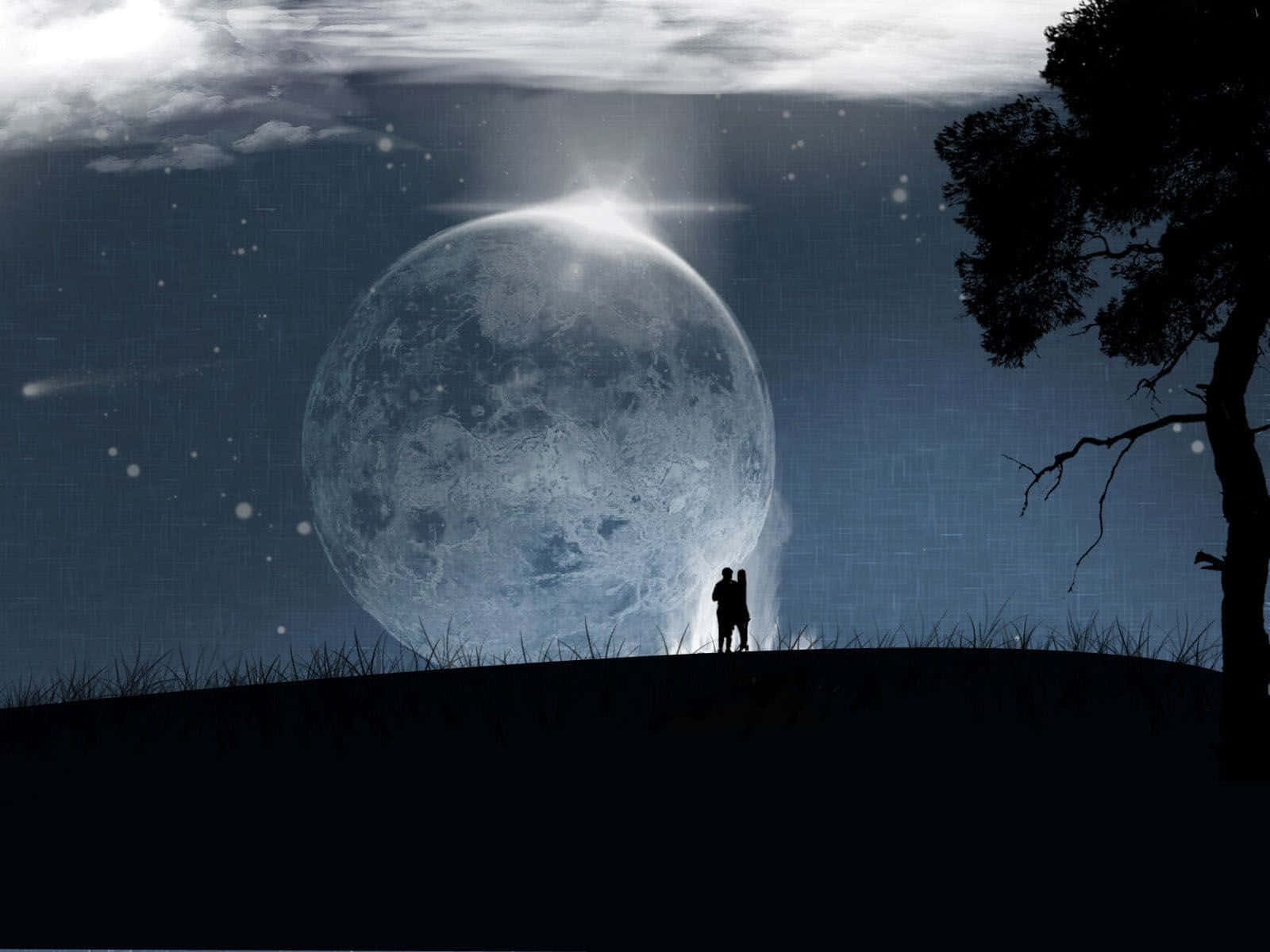 Nochetranquila Iluminada Por La Luna En Un Hermoso Bosque