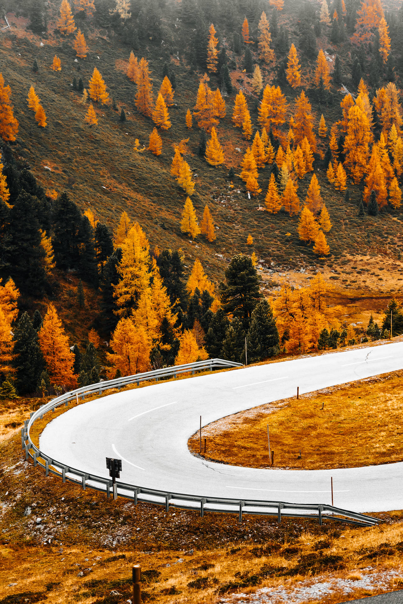 Nockalm Road Best Autumn Wallpaper