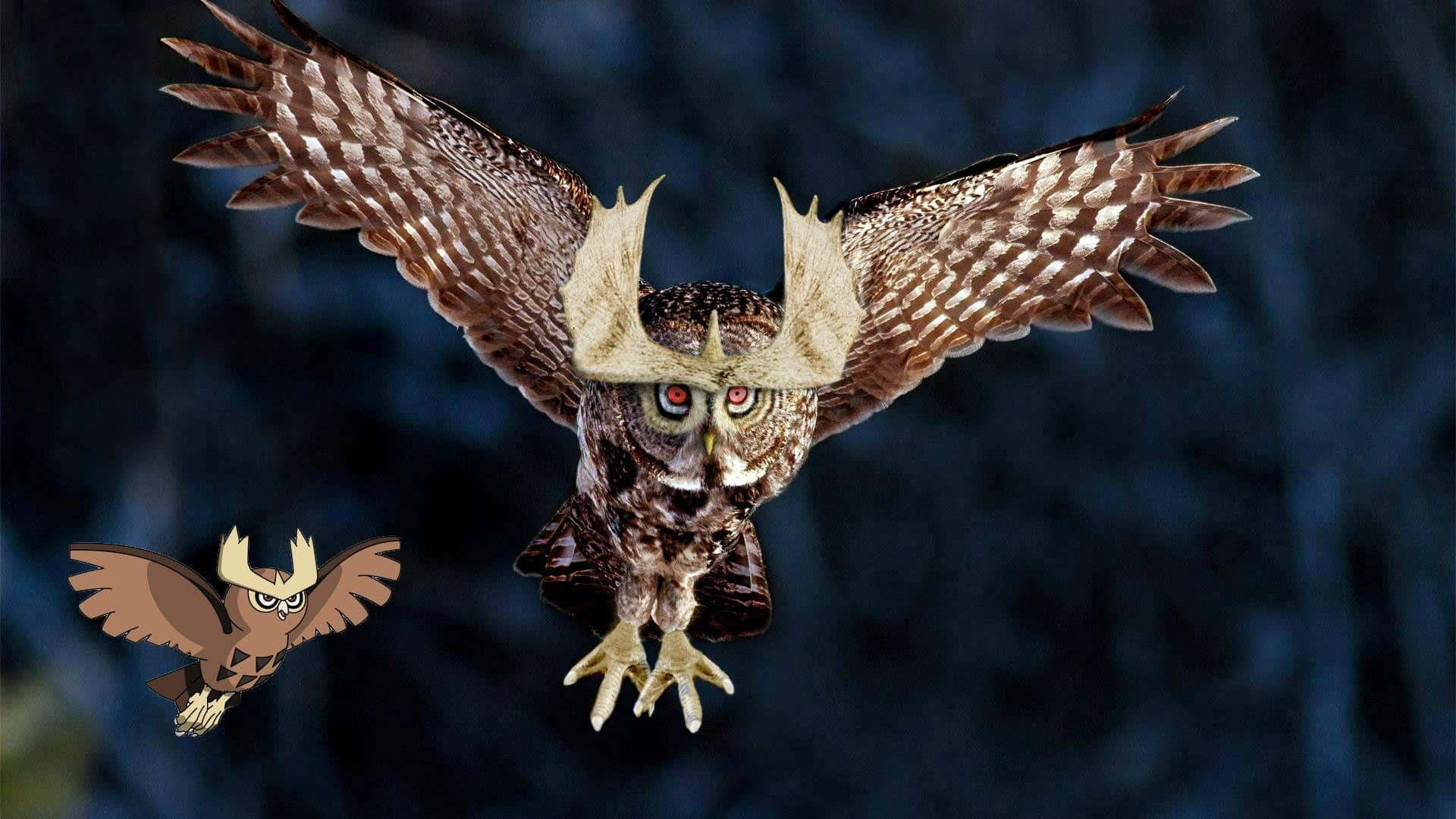 Noctowl Inspired Owl Flight Wallpaper