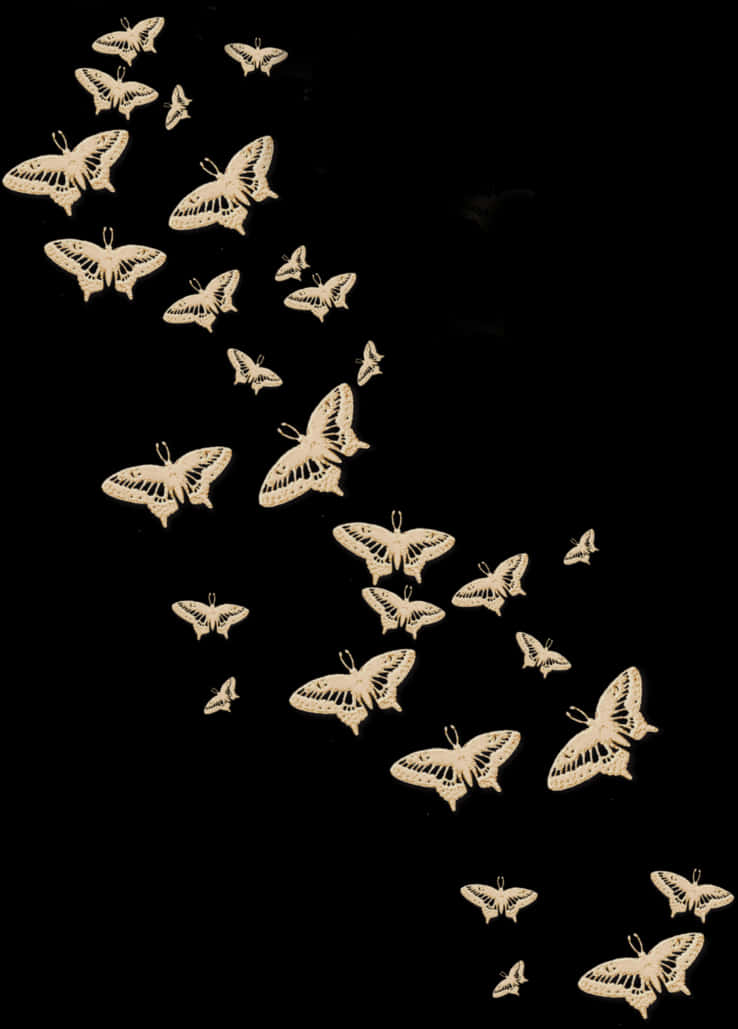 Nocturnal Butterfly Flight Pattern PNG