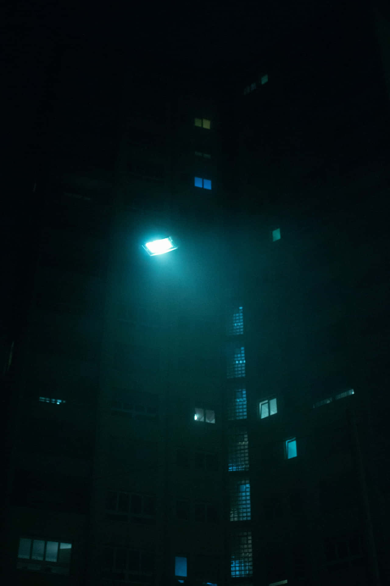 Nocturnal Urban Glow Wallpaper
