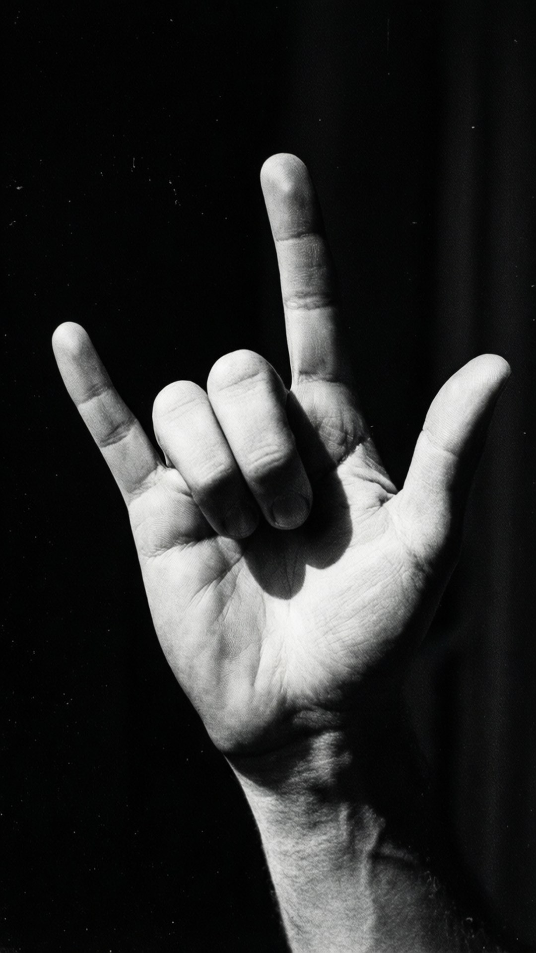 Noir Handstudie Wallpaper