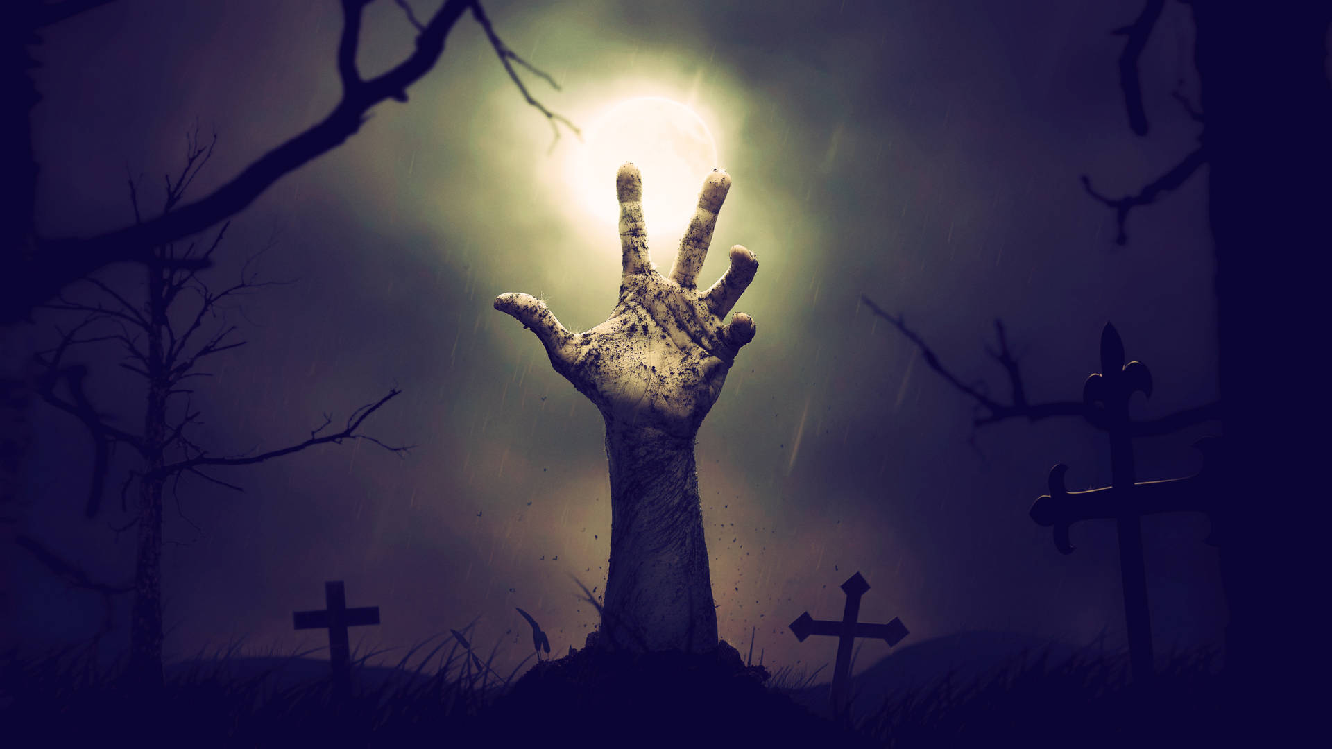 Nohay Derechos De Autor: El Zombie Ha Regresado Fondo de pantalla