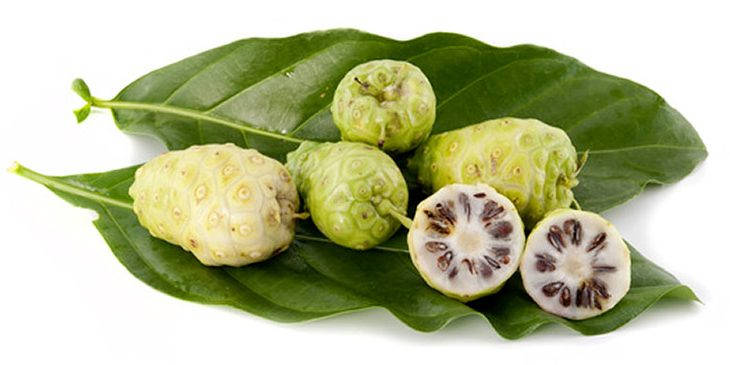 Fresh Noni Fruits with Lush Green Leaves Wallpaper