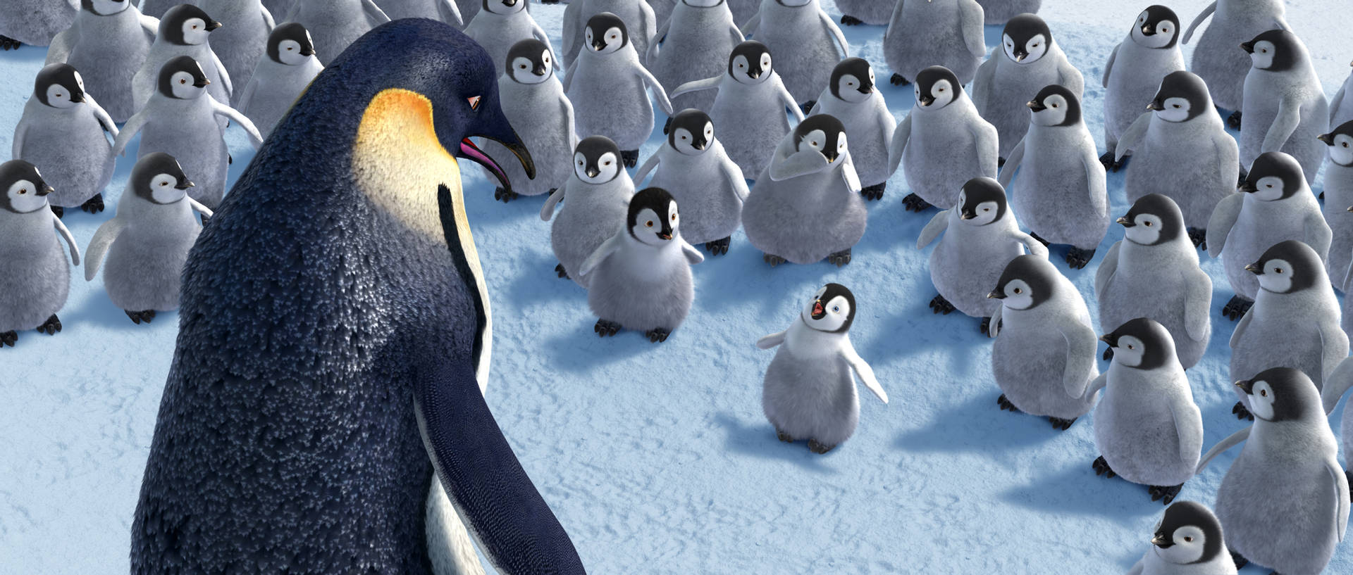 Unpingüino Está Parado Frente A Un Grupo De Pingüinos Fondo de pantalla