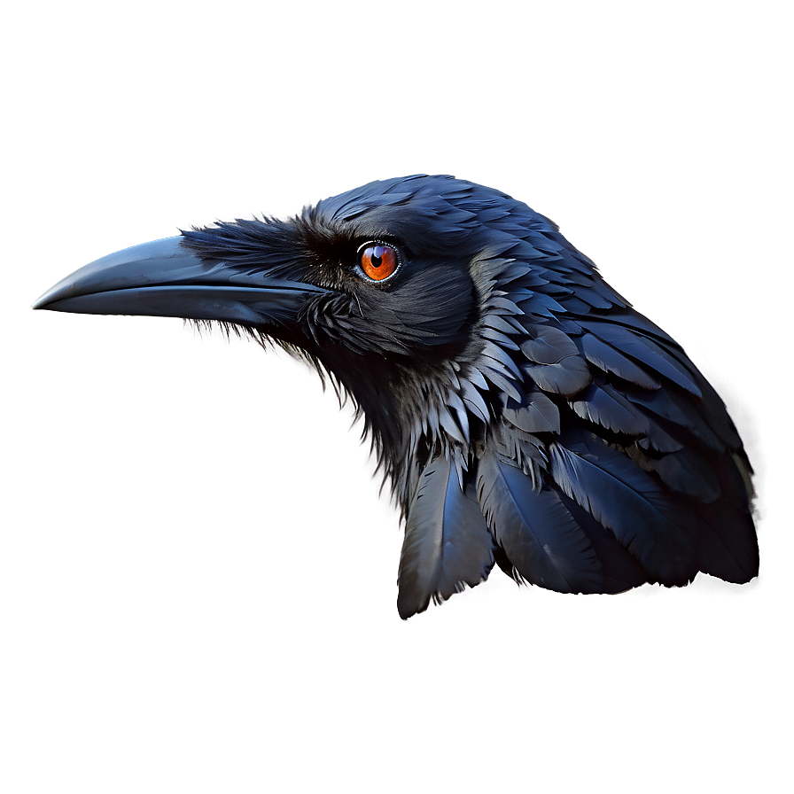 Norse Raven Png 05062024 PNG