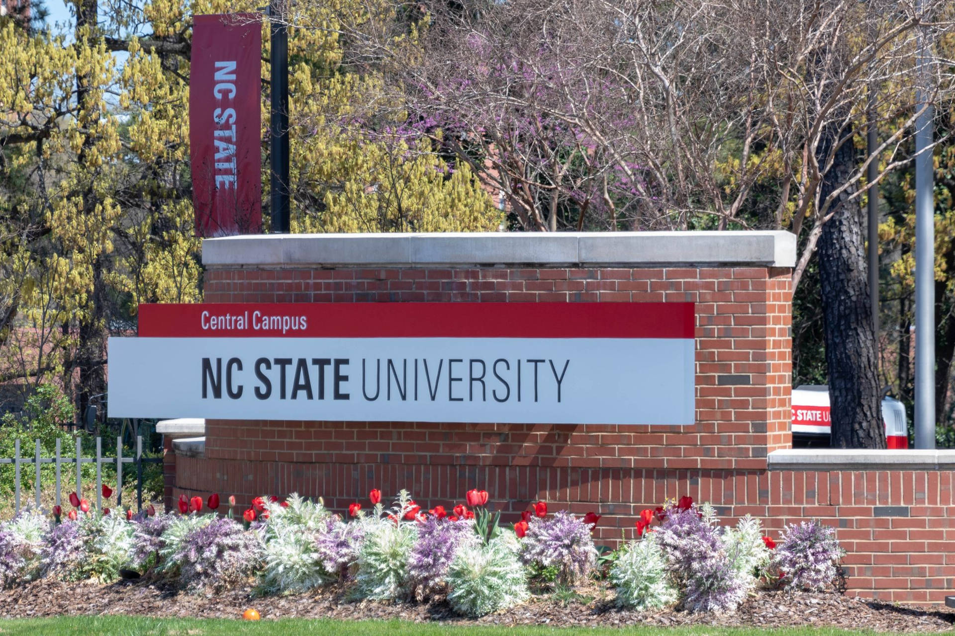 North Carolina State University Central Campus Sign Wallpaper