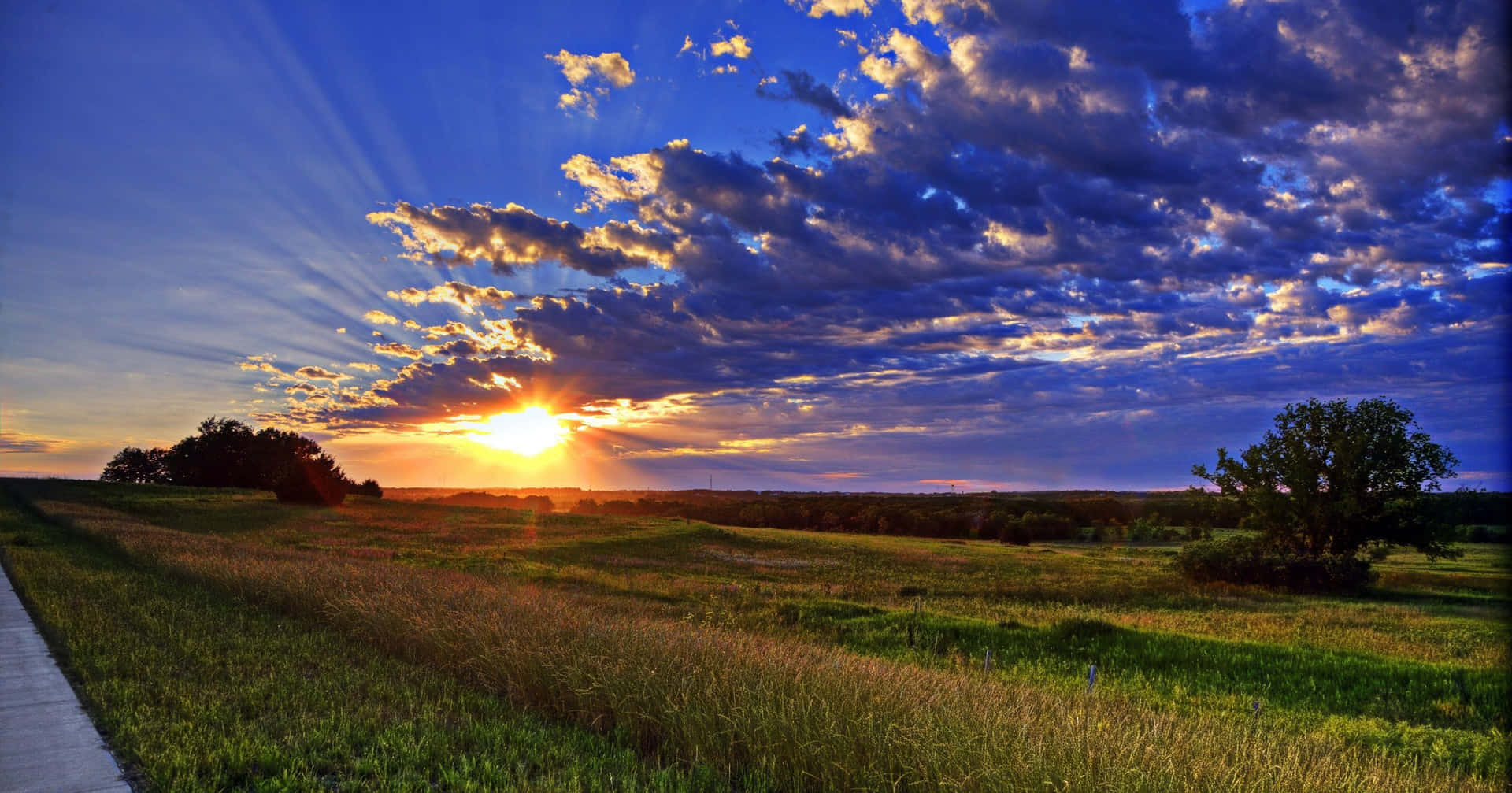 The wheat fields of North Dakota at sundown