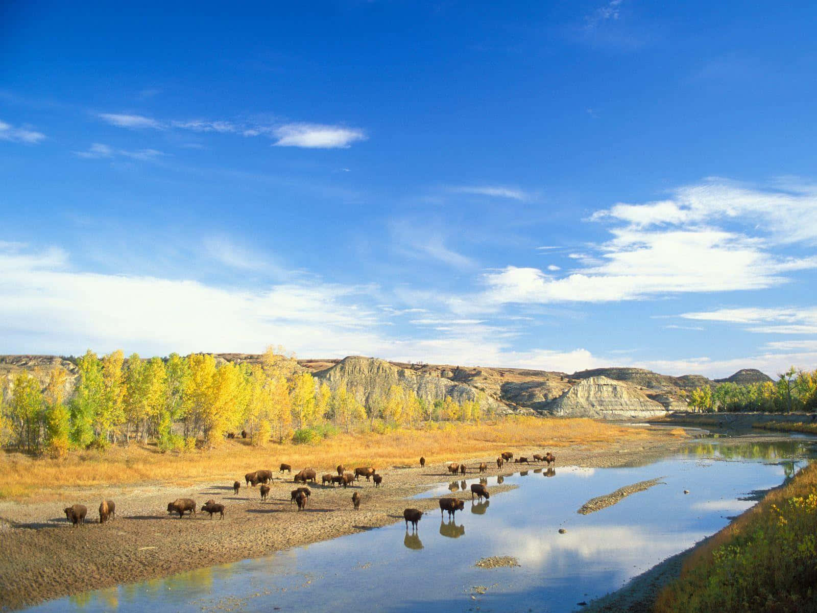 Enjoy the view of North Dakota's lush green valleys