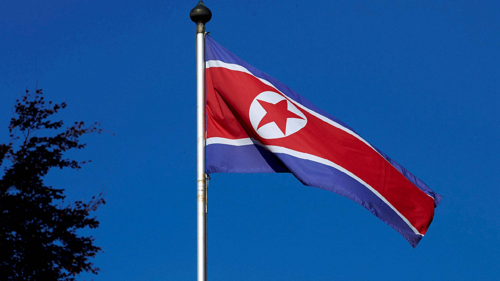 North Korea Flag With Tree Behind