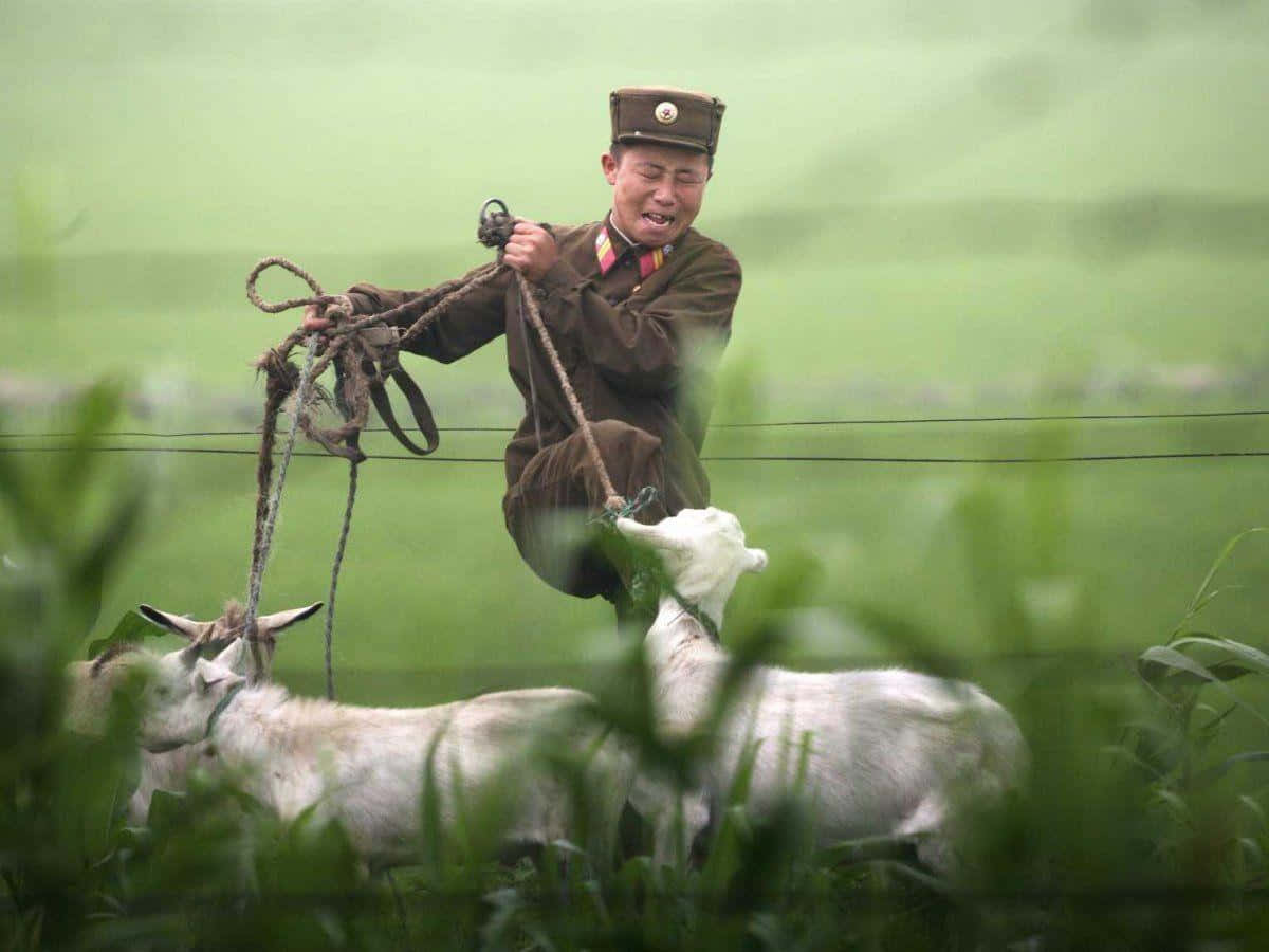 Rostrossonrientes En Un Pueblo De Corea Del Norte.