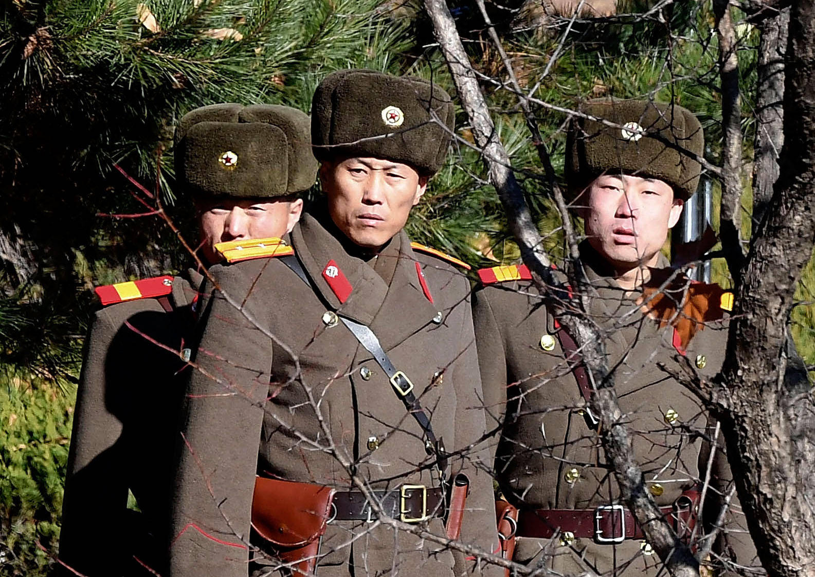 North Korea Soldiers Behind Bare Tree