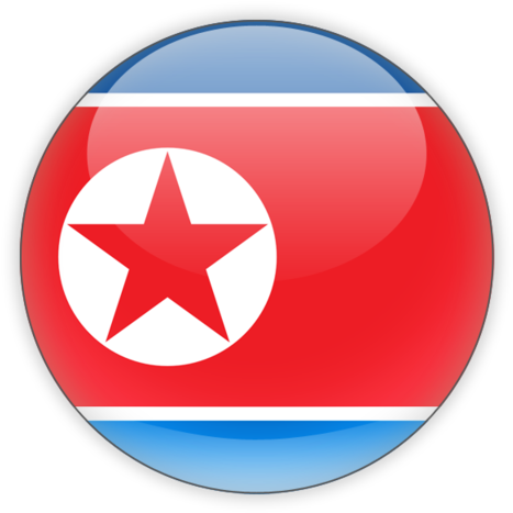 North Korean Flag Button PNG