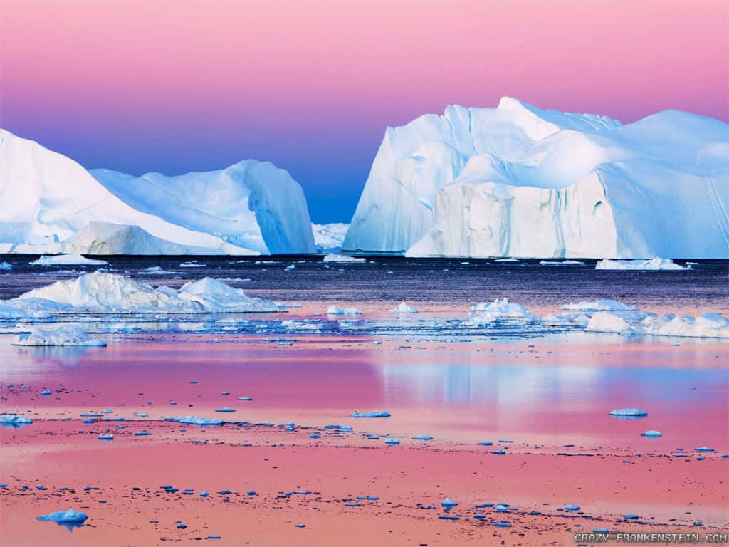 Rosahimmel Vid Nordpolen Bild.