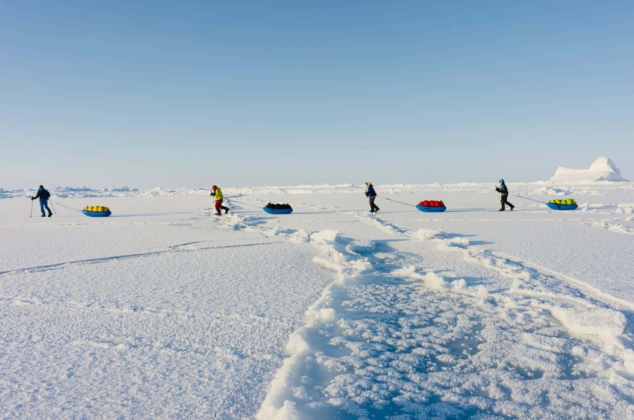Personasarrastrando Sus Trineos En La Imagen Del Polo Norte.