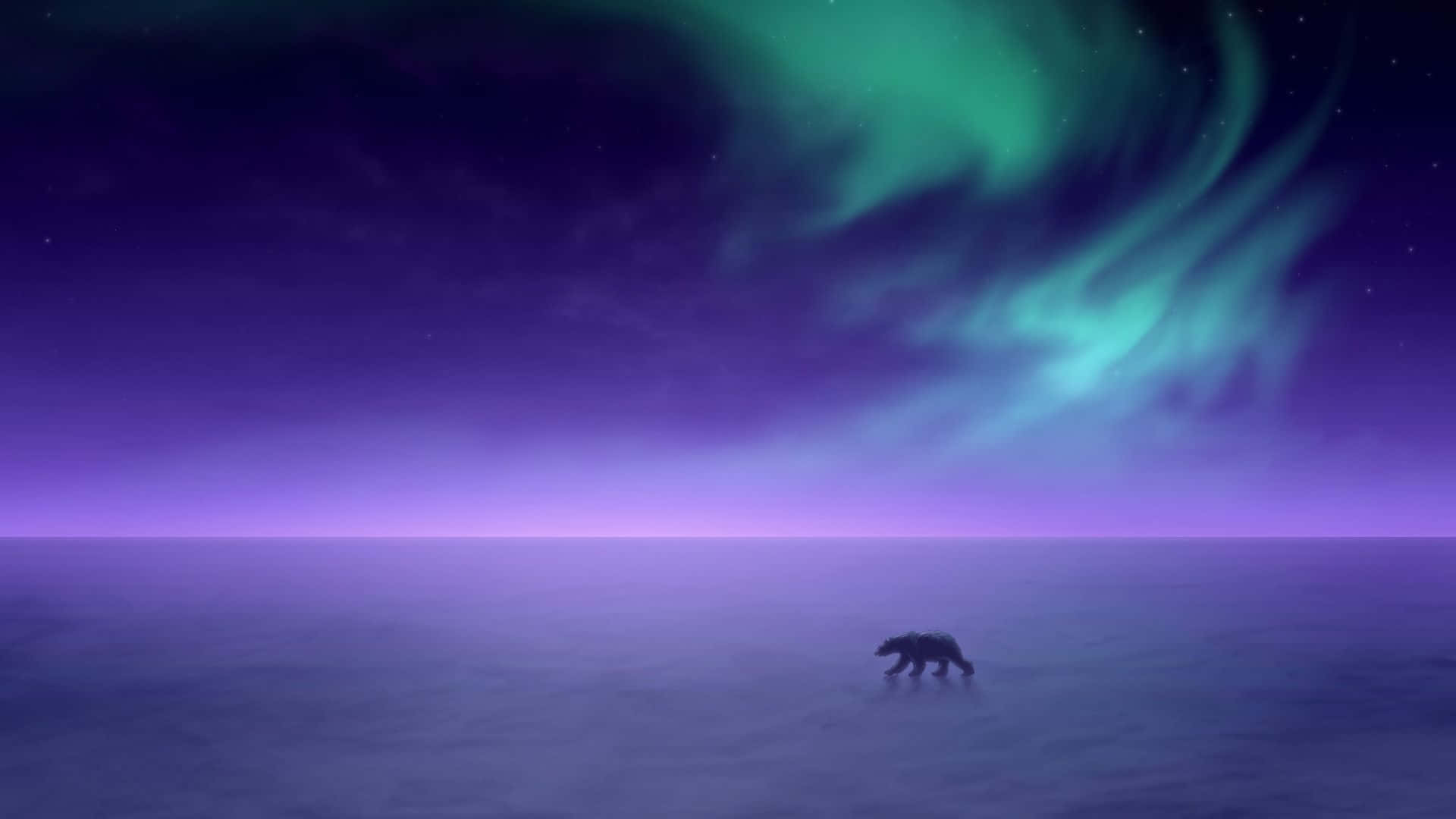 Imagende Un Oso Polar Caminando Entre Luces En El Polo Norte.