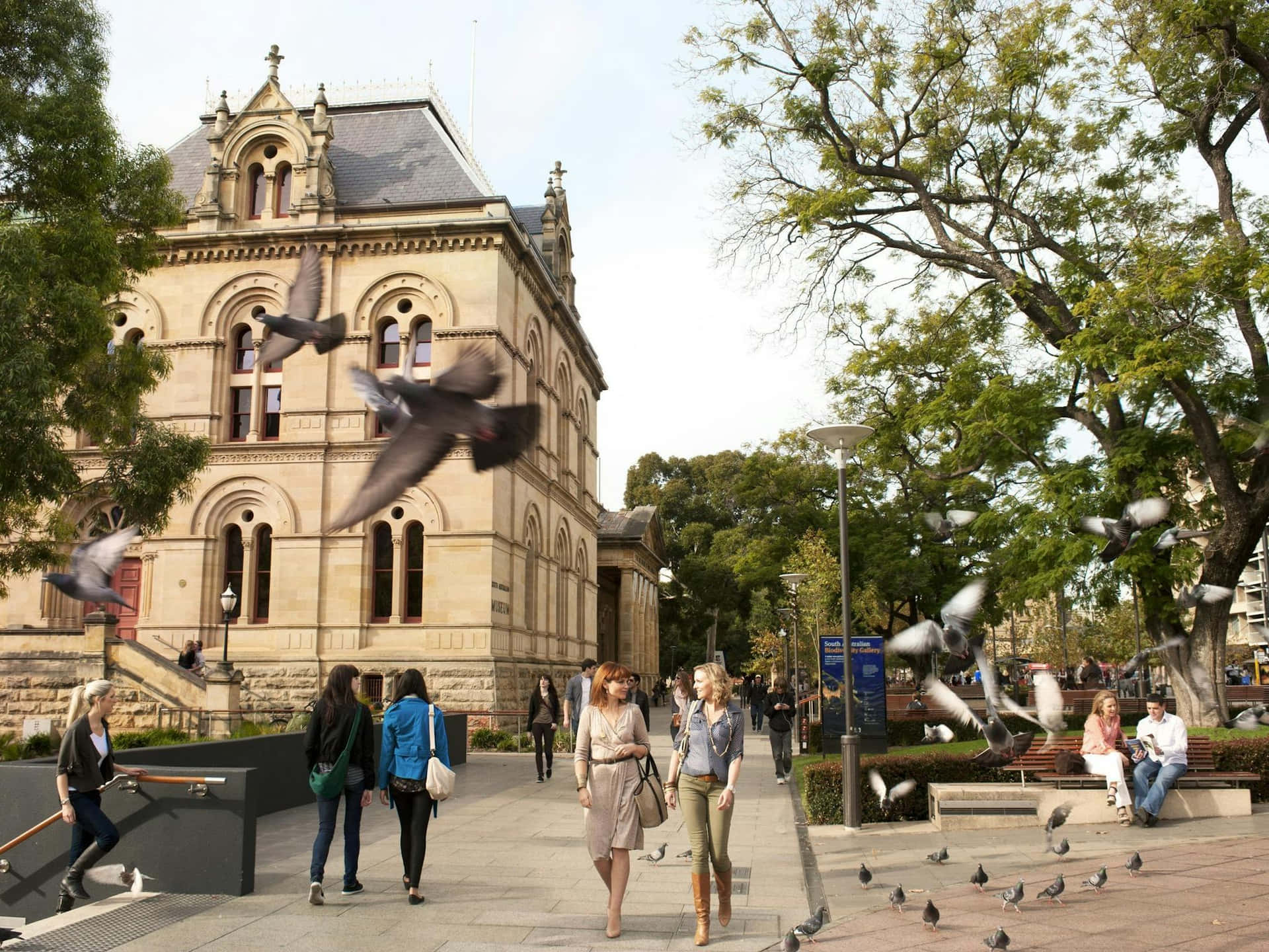 Scène De Rue Animée Sur North Terrace, Adélaïde Fond d'écran