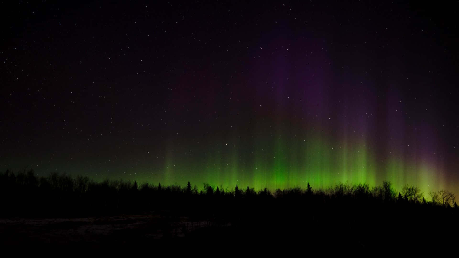 Spectacular Northern Lights Illuminate the Night Sky