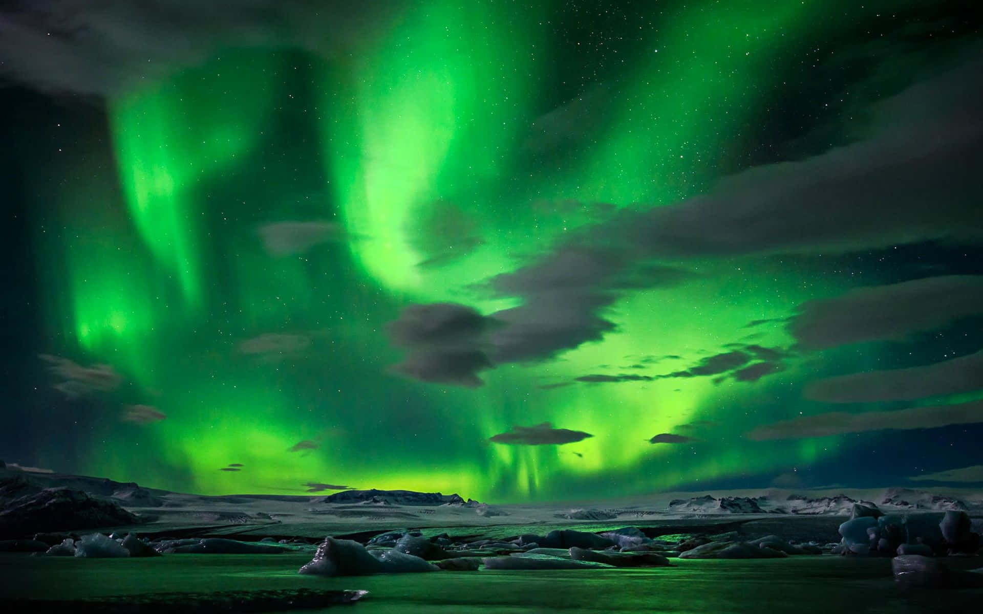 "The magical lights of the Northern Lights"