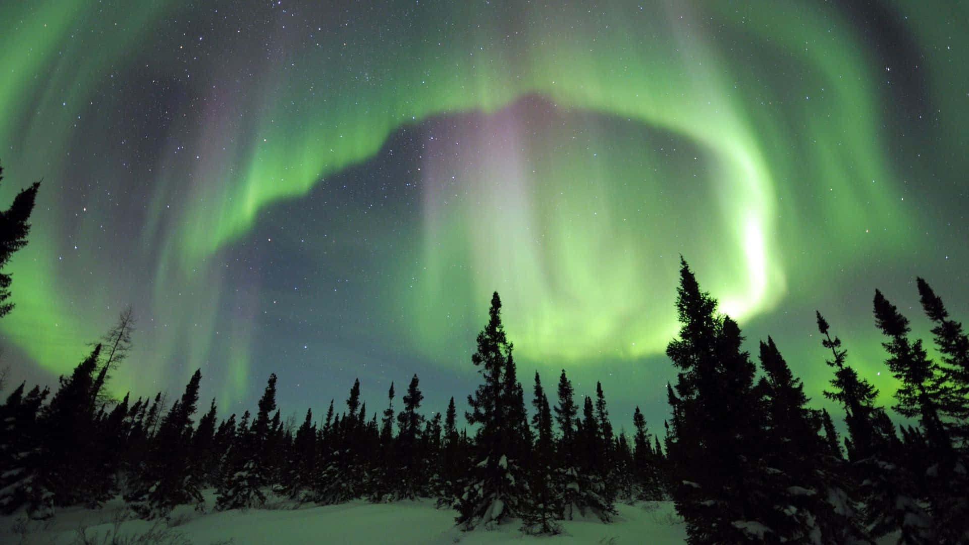 Dancing lights of the beautiful Northern Lights