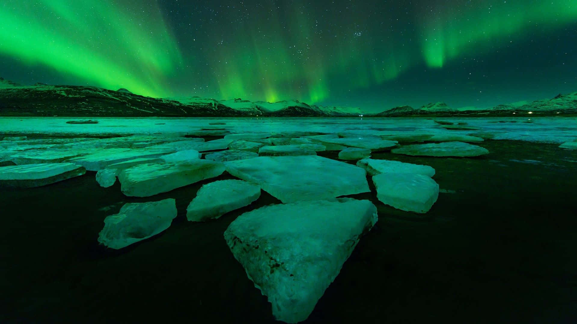 "Witnessing the Spectacle of Nature - Northern Lights"