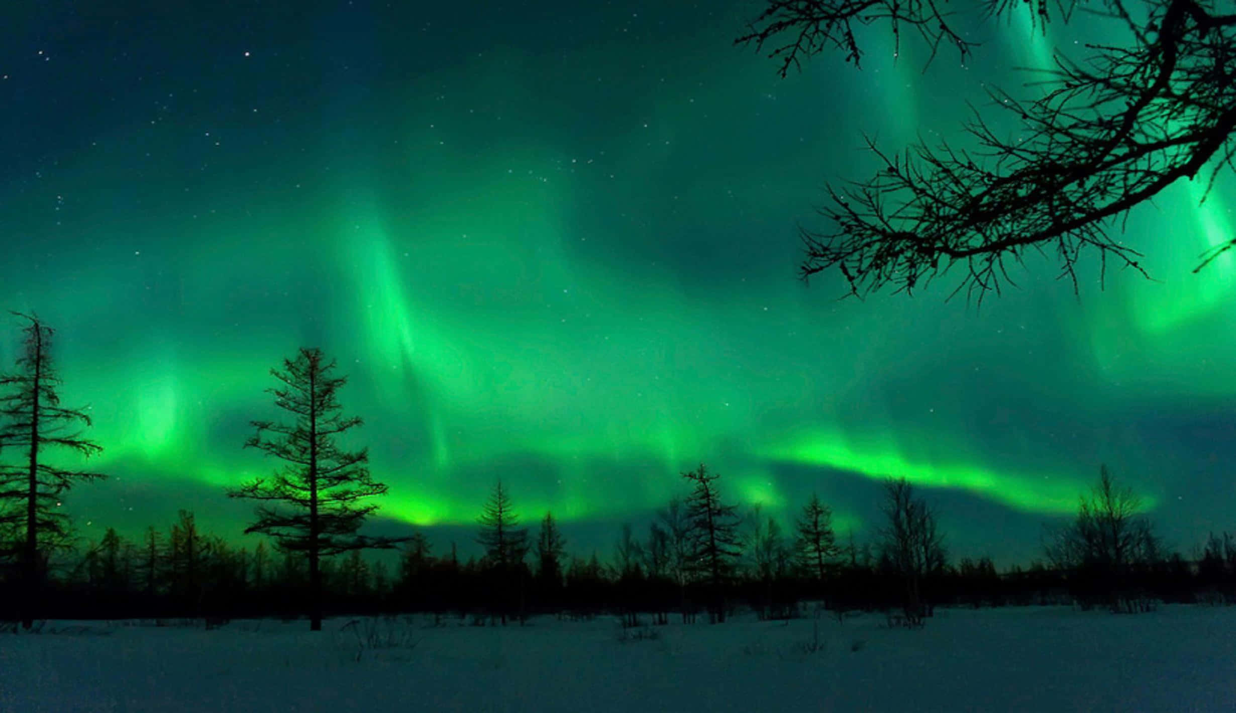Enjoy the beauty of the night sky with sparkling Northern Lights