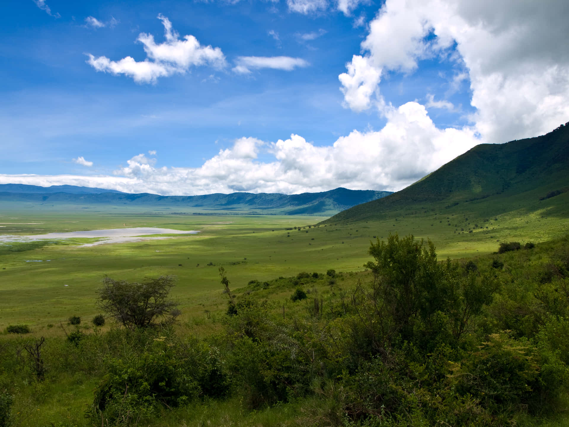 Escenariode Campo Verde En El Cráter De Ngorongoro Del Norte De Tanzania. Fondo de pantalla