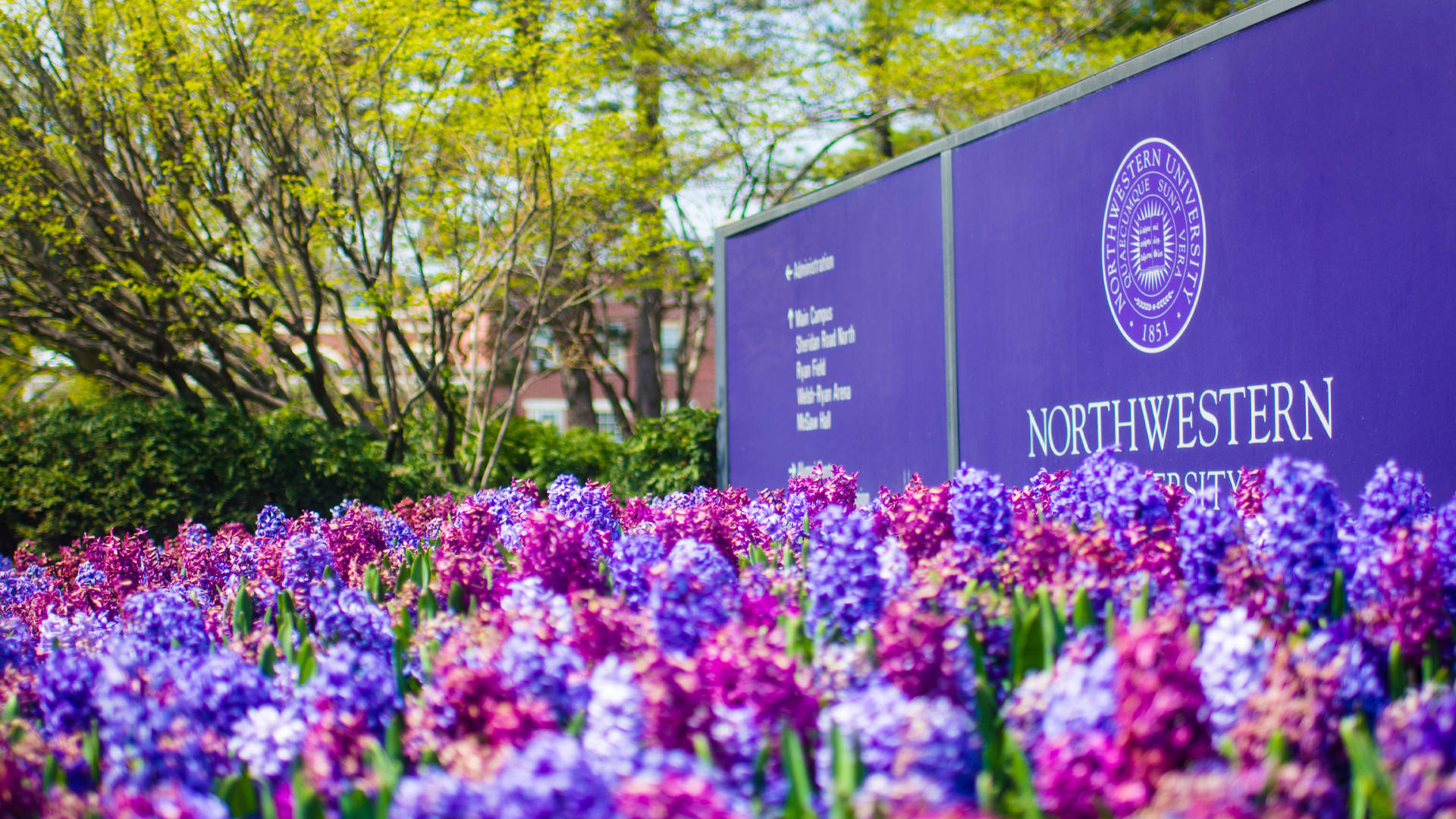 Northwestern University Sign And Flowers Wallpaper