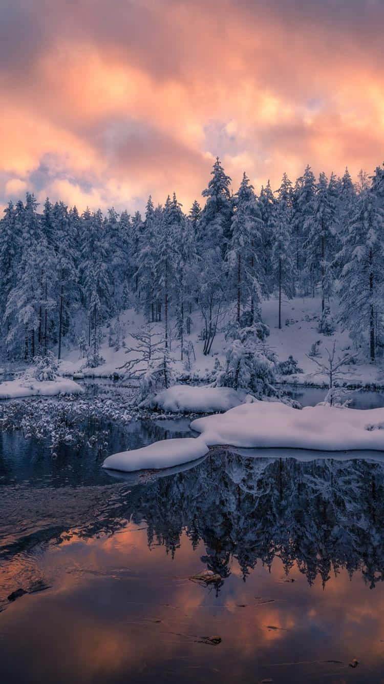 Etfredfyldt Vinterlandskab I Norge.