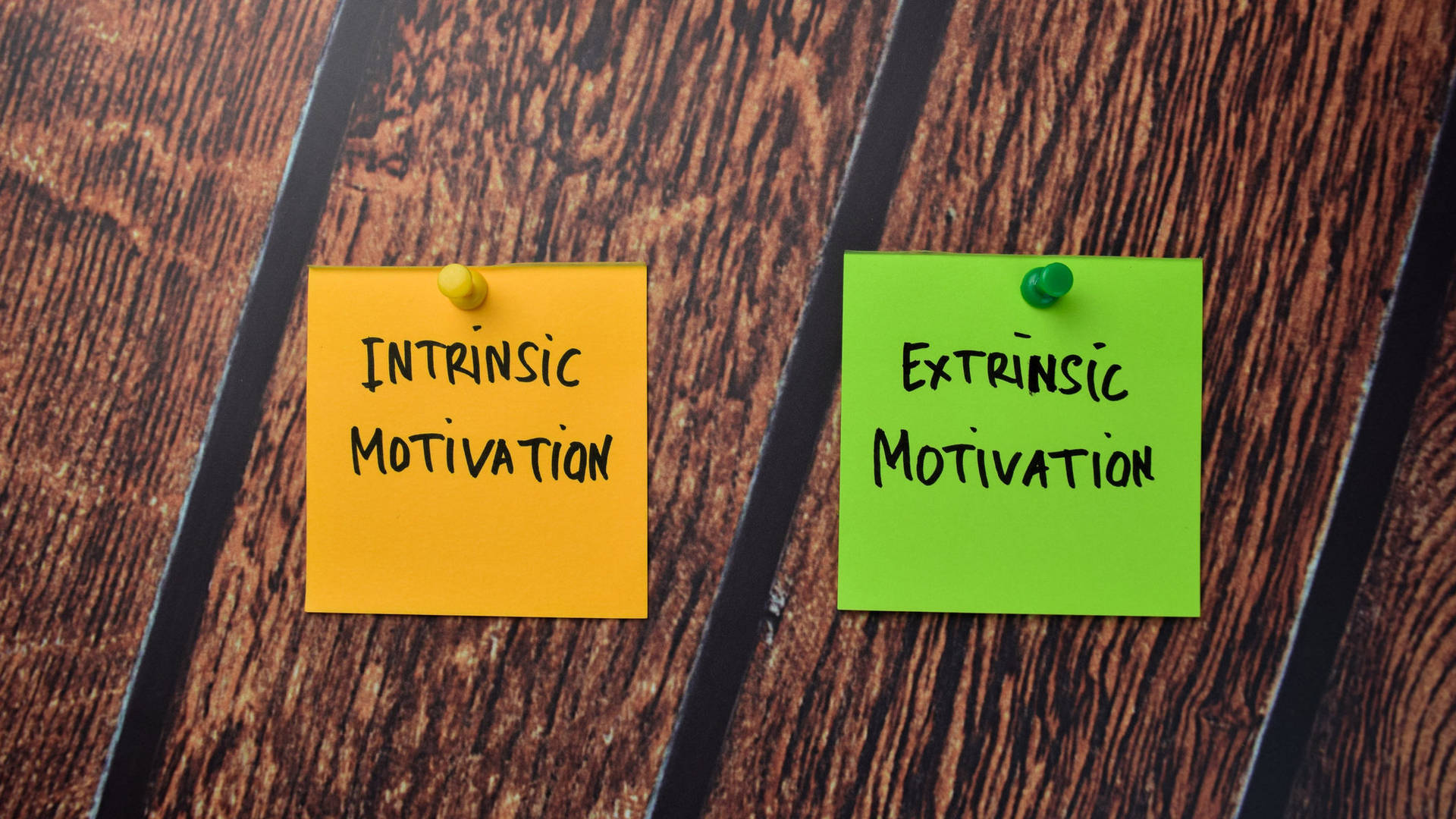 Notes On Intrinsic Vs Extrinsic Motivation Wallpaper