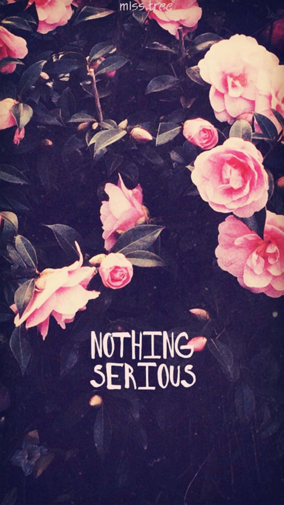 Nothing Serious With Pink Flowers Wallpaper