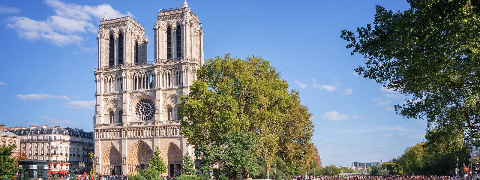 Notre Dame And Trees Wallpaper