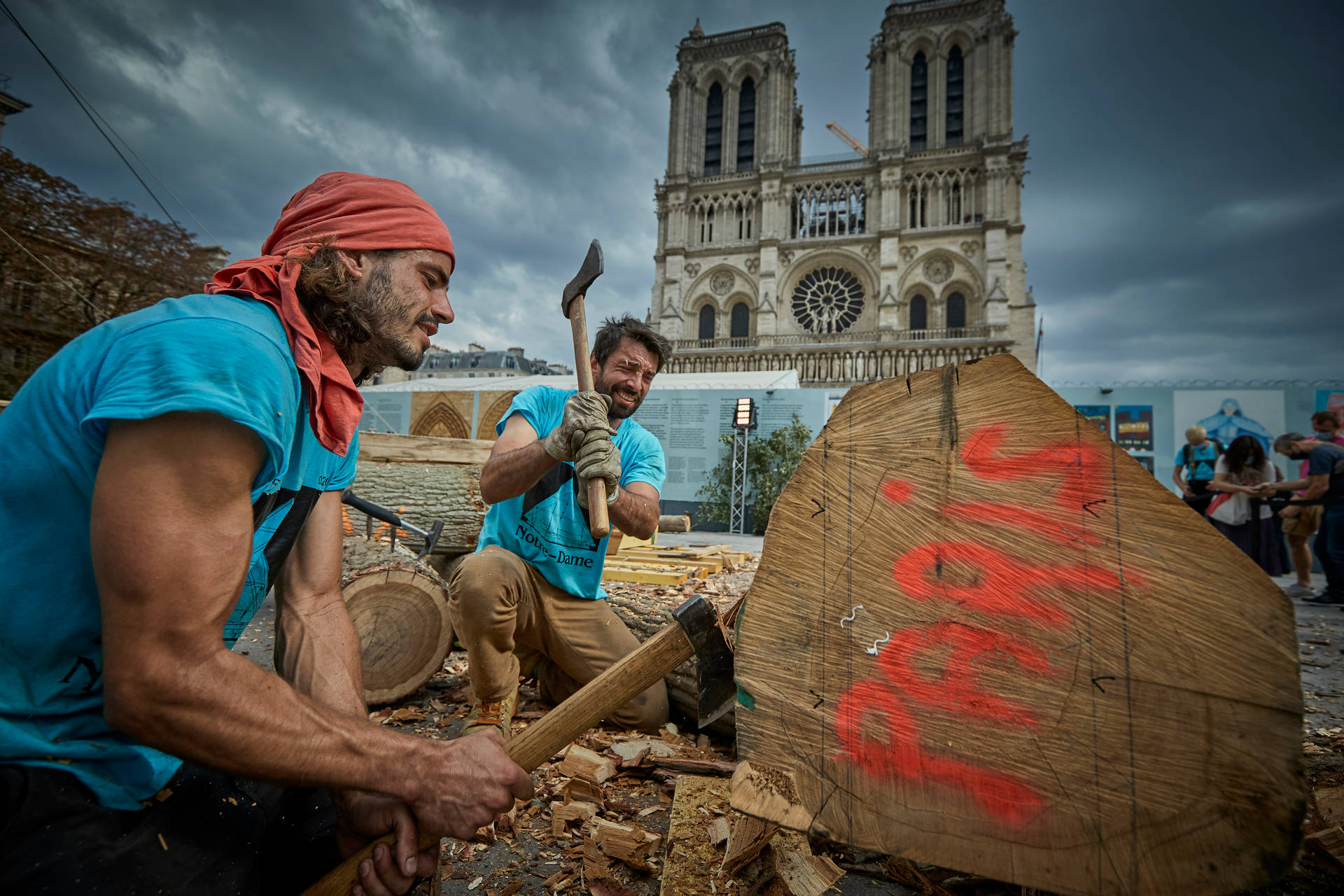 Notre Dame Carpenters Without Borders Wallpaper
