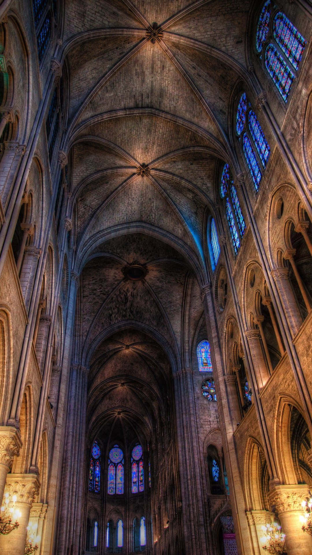 Notre Dame Cathedral Ceiling Wallpaper