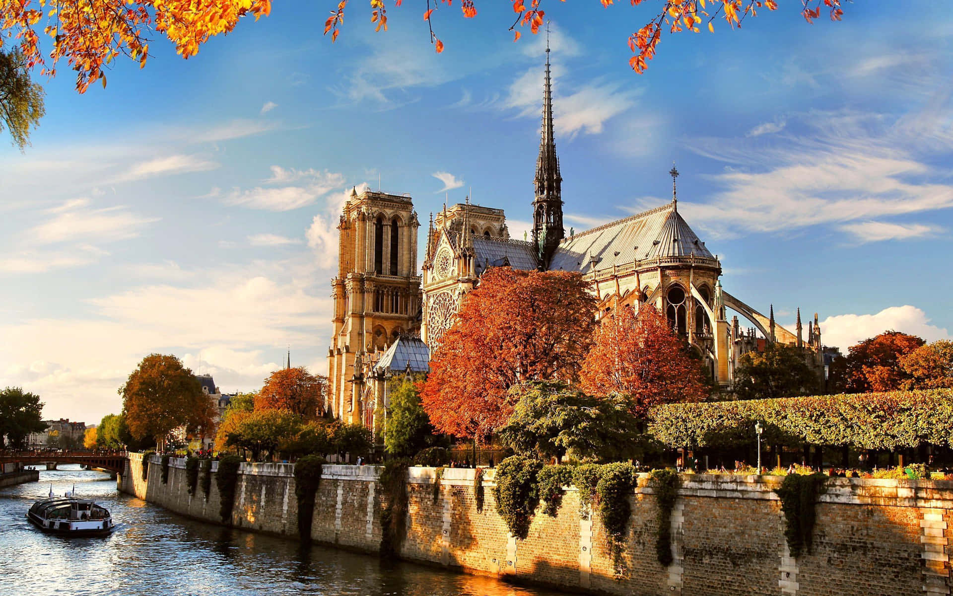 Notre Dame Cathedral During Autumn Wallpaper