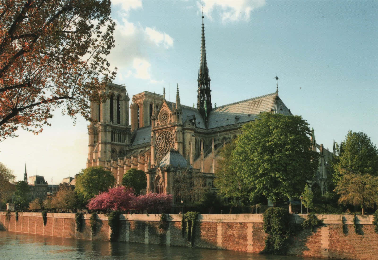 Notre Dame Cathedral During Spring Wallpaper