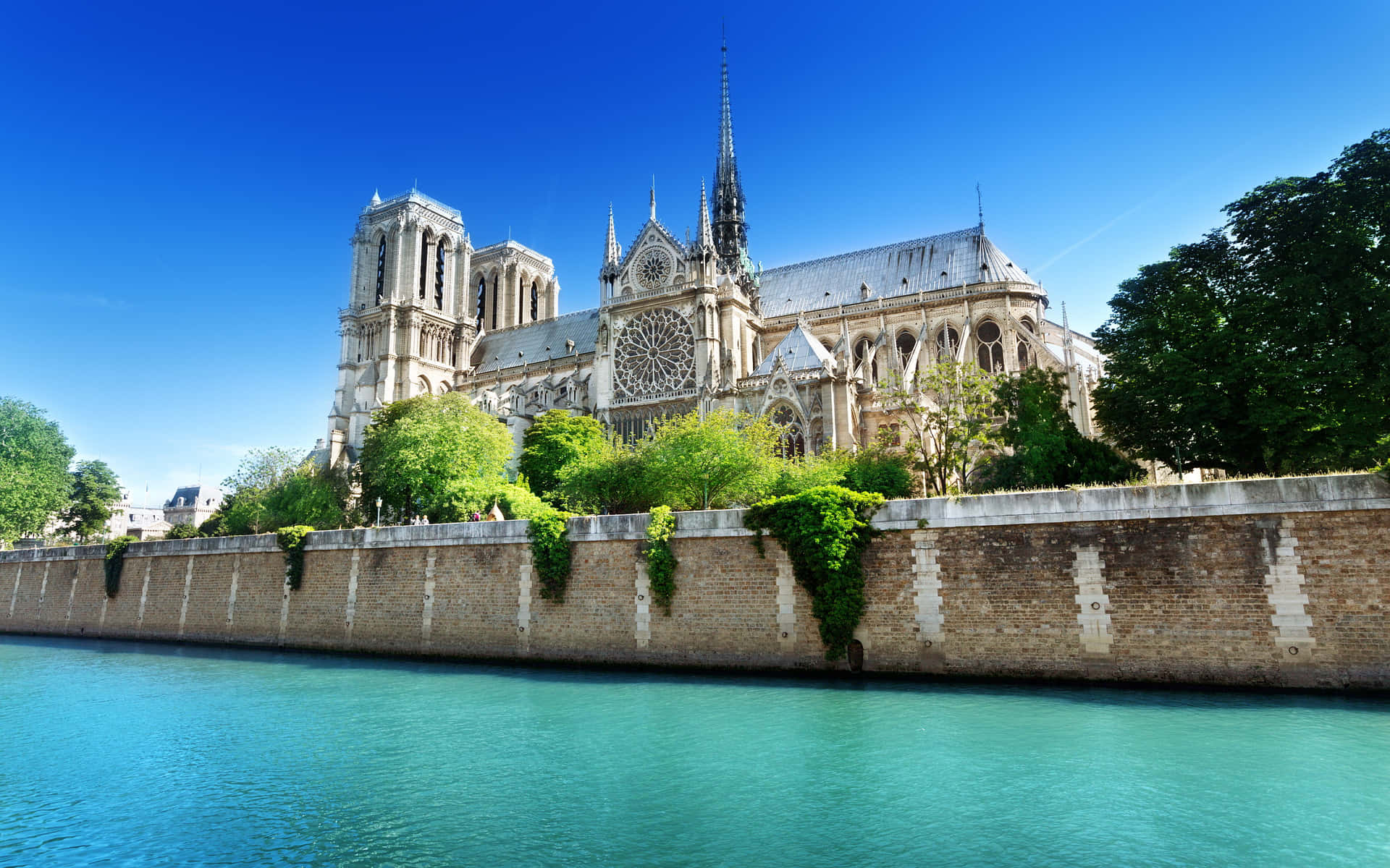Notre Dame Cathedral In Broad Daylight Wallpaper