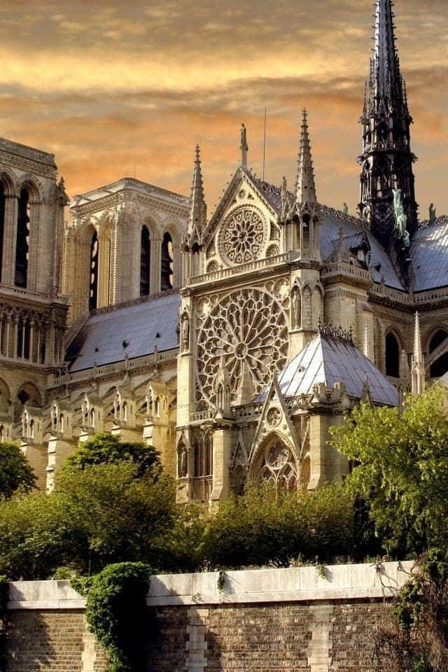 Finestrarosa Settentrionale Della Cattedrale Di Notre Dame Sfondo
