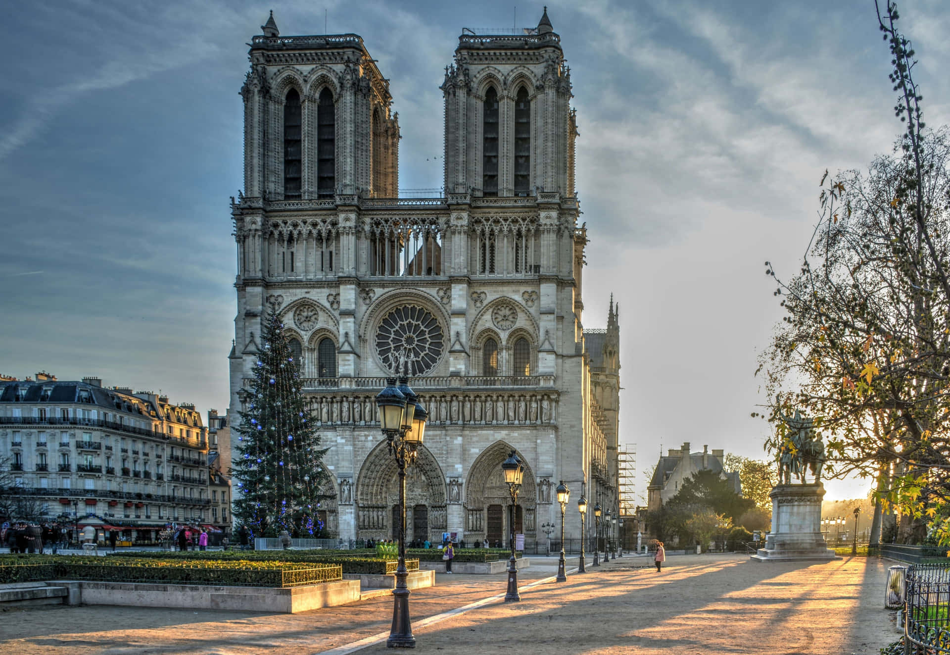 Catedralde Notre Dame Con Árbol De Navidad. Fondo de pantalla