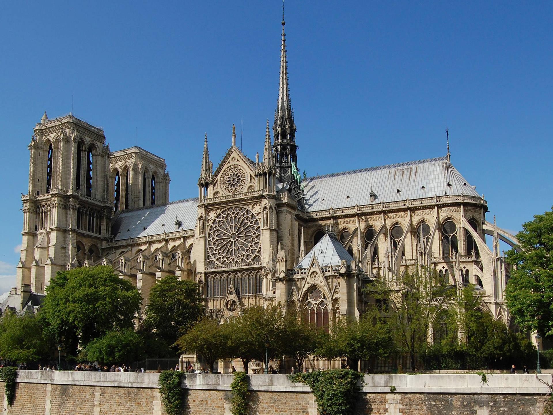 Ventanasur De La Icónica Rosácea De Notre Dame Fondo de pantalla