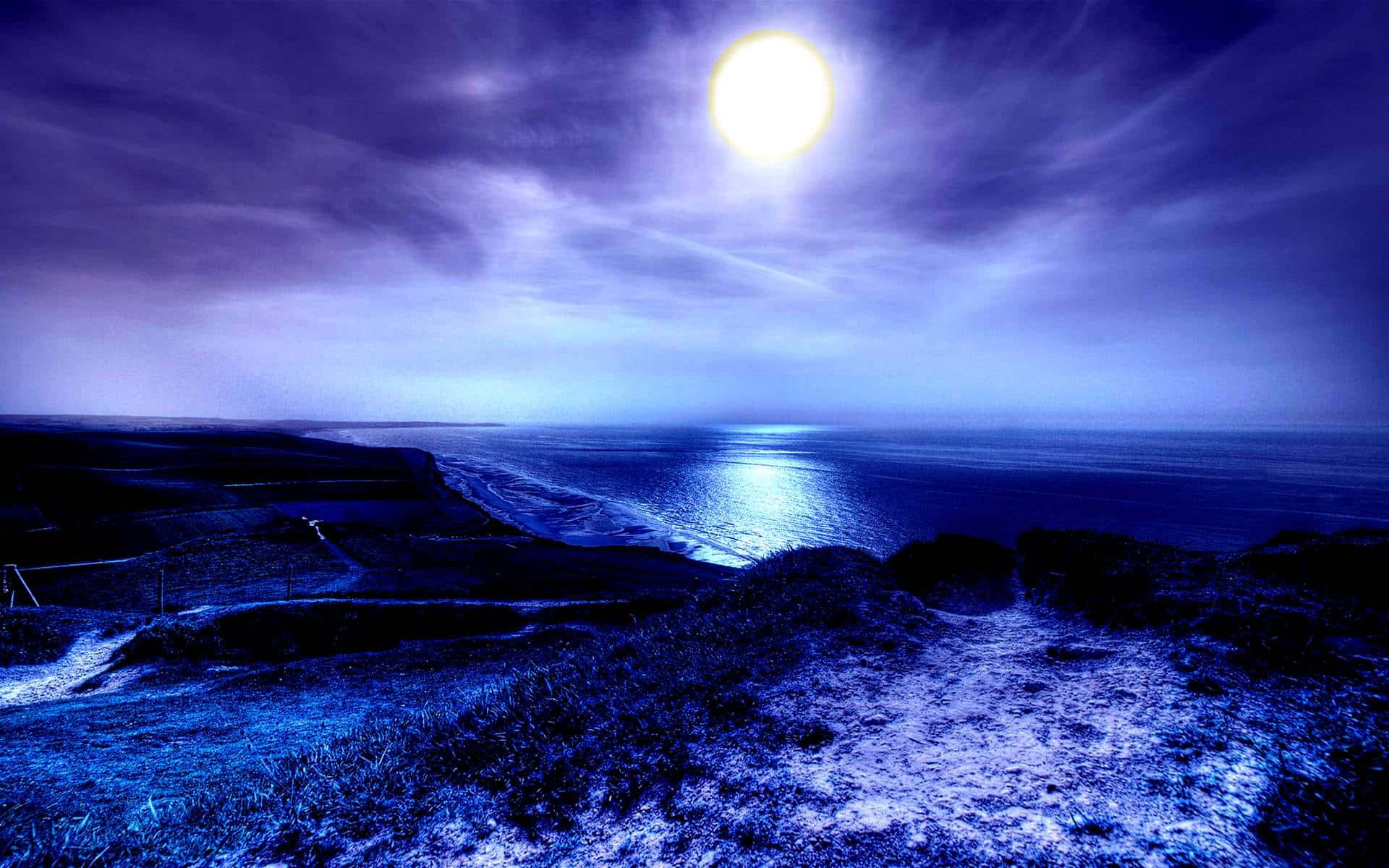 Notteserena Illuminata Dalla Luna Accanto All'oceano