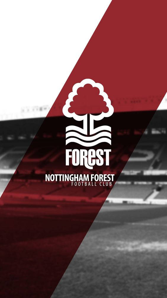 Nottingham Forest F.c. 564 X 1002 Papel de Parede