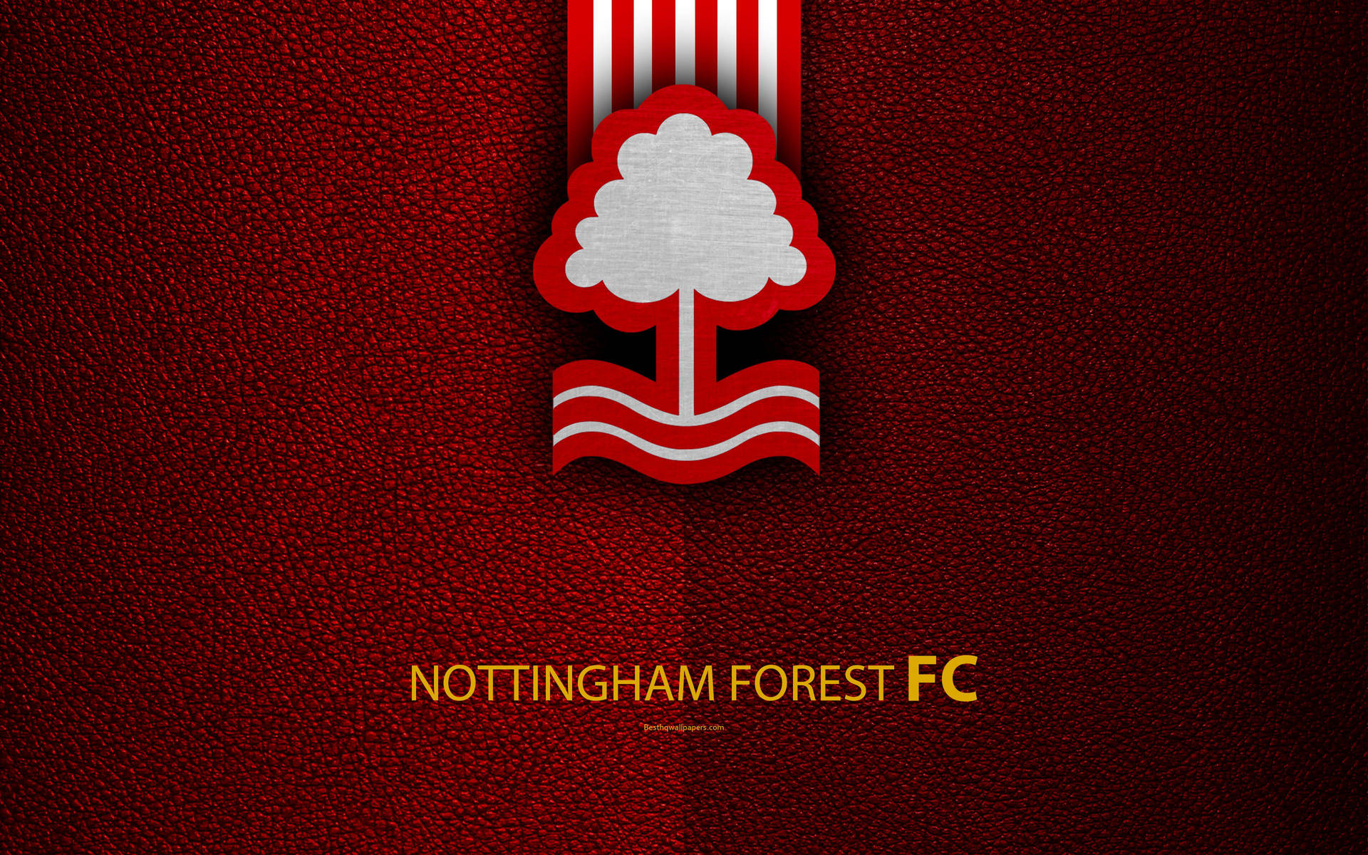 Nottinghamforest Fc Gradiente Rojo Fondo de pantalla