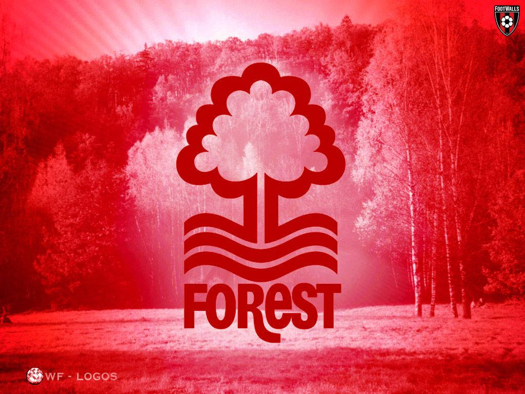 Nottingham Forest Fc Woods Wallpaper