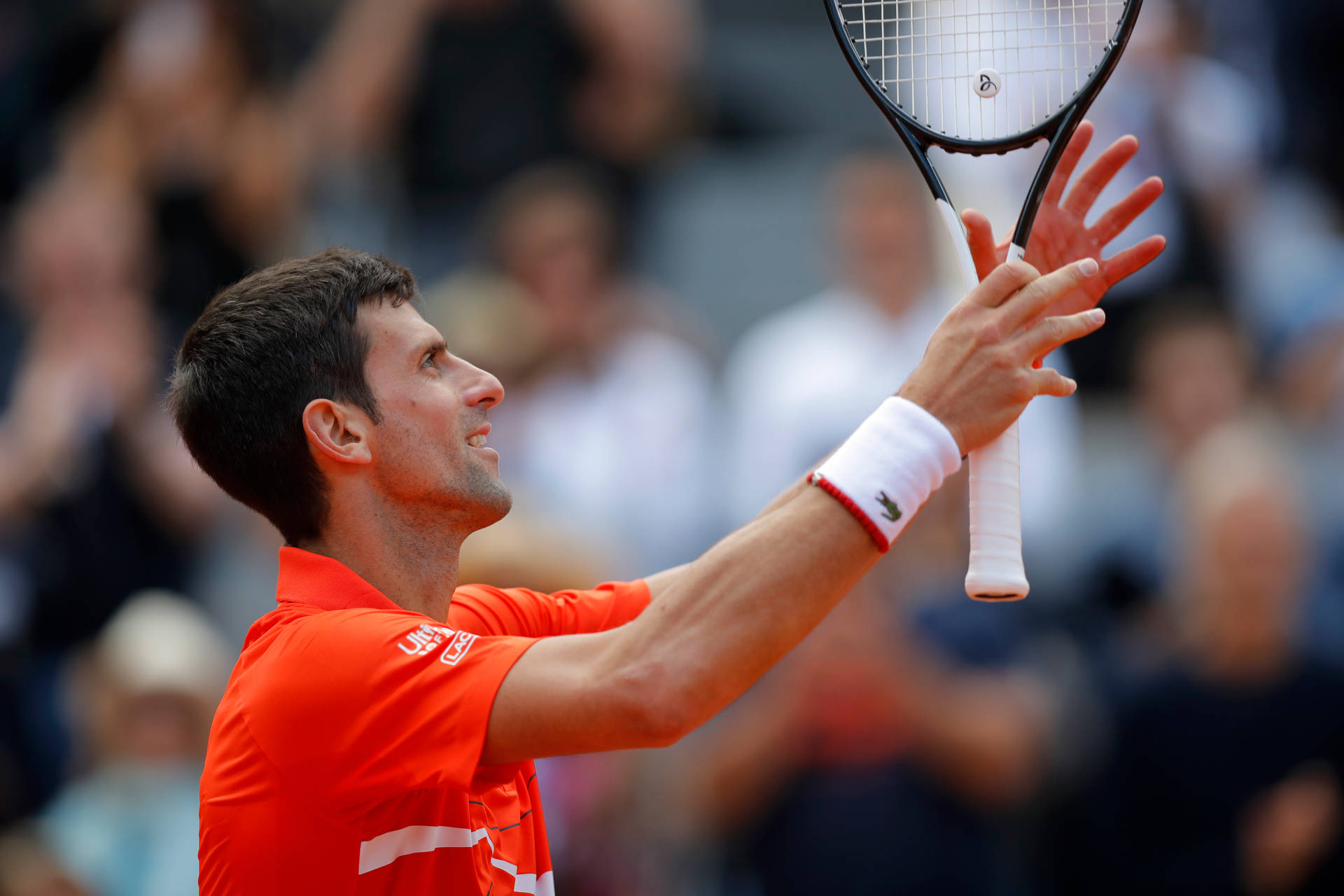 Novak Djokovic French Open 2019 Background