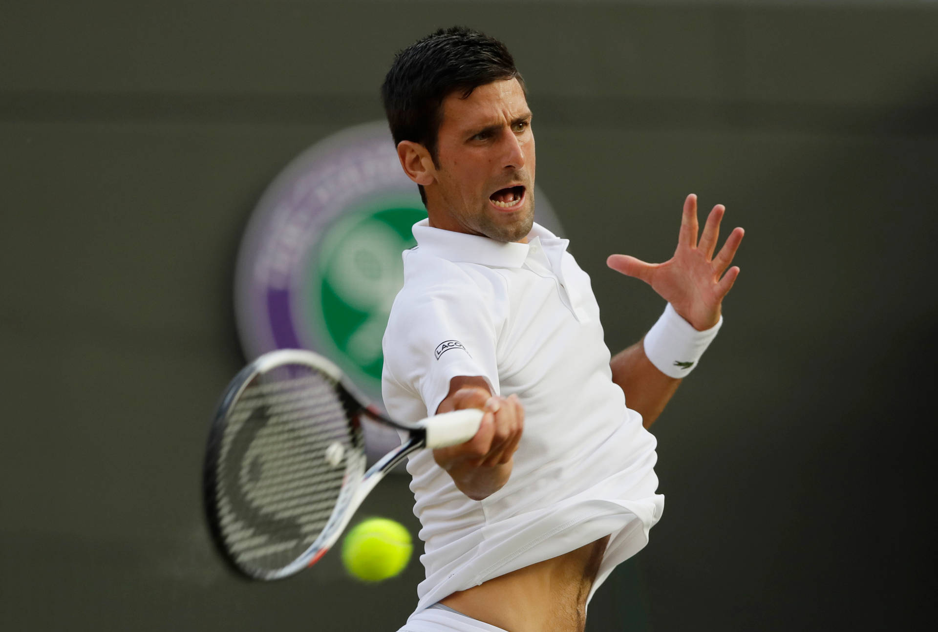 Novak Djokovic Professional Tennis Athlete Wallpaper