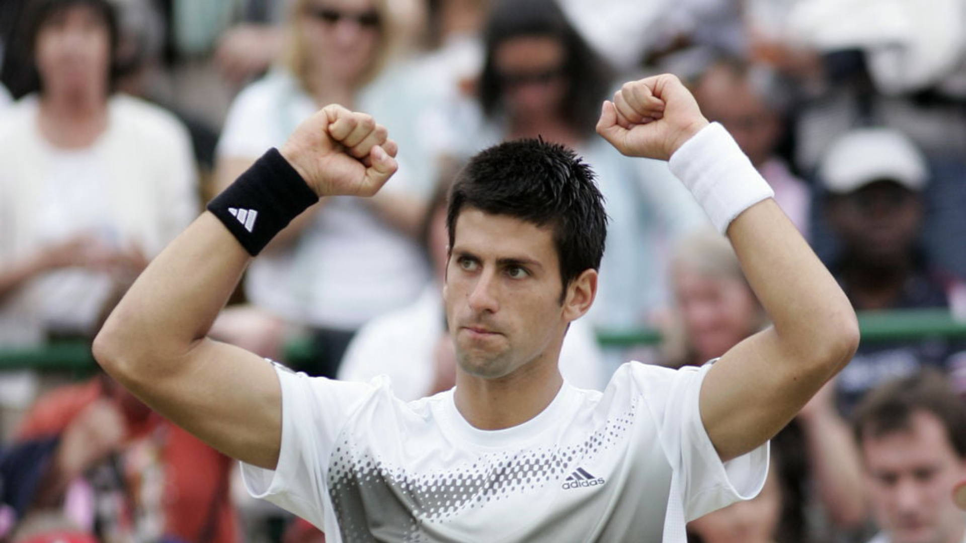 Novak Djokovic Sports Athlete Background